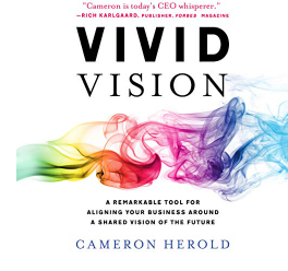 Vivid Vision: Summary for Vivid Vision By Cameron Herold